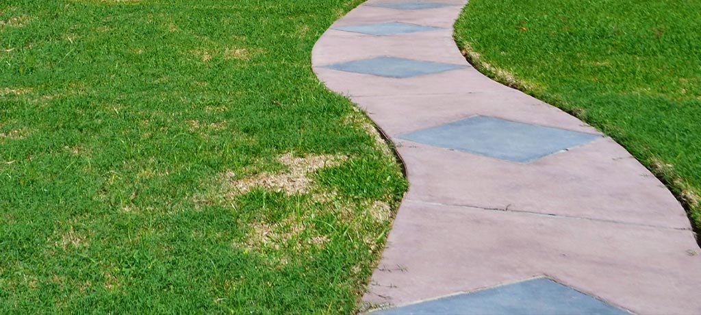 Lawn Dry Spots Quarterly Newsletter | Greenscapes of Southwest Florida, Inc.
