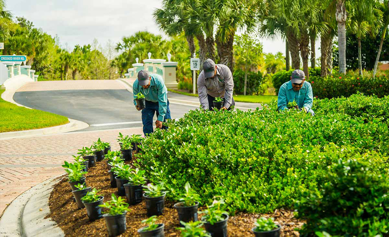 Landscape Enhancements - Greenscapes - Southwest Florida