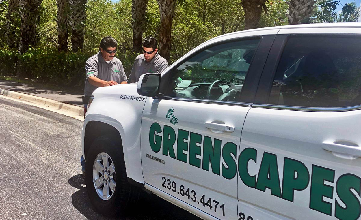 Sod Installation - Greenscapes - Southwest Florida