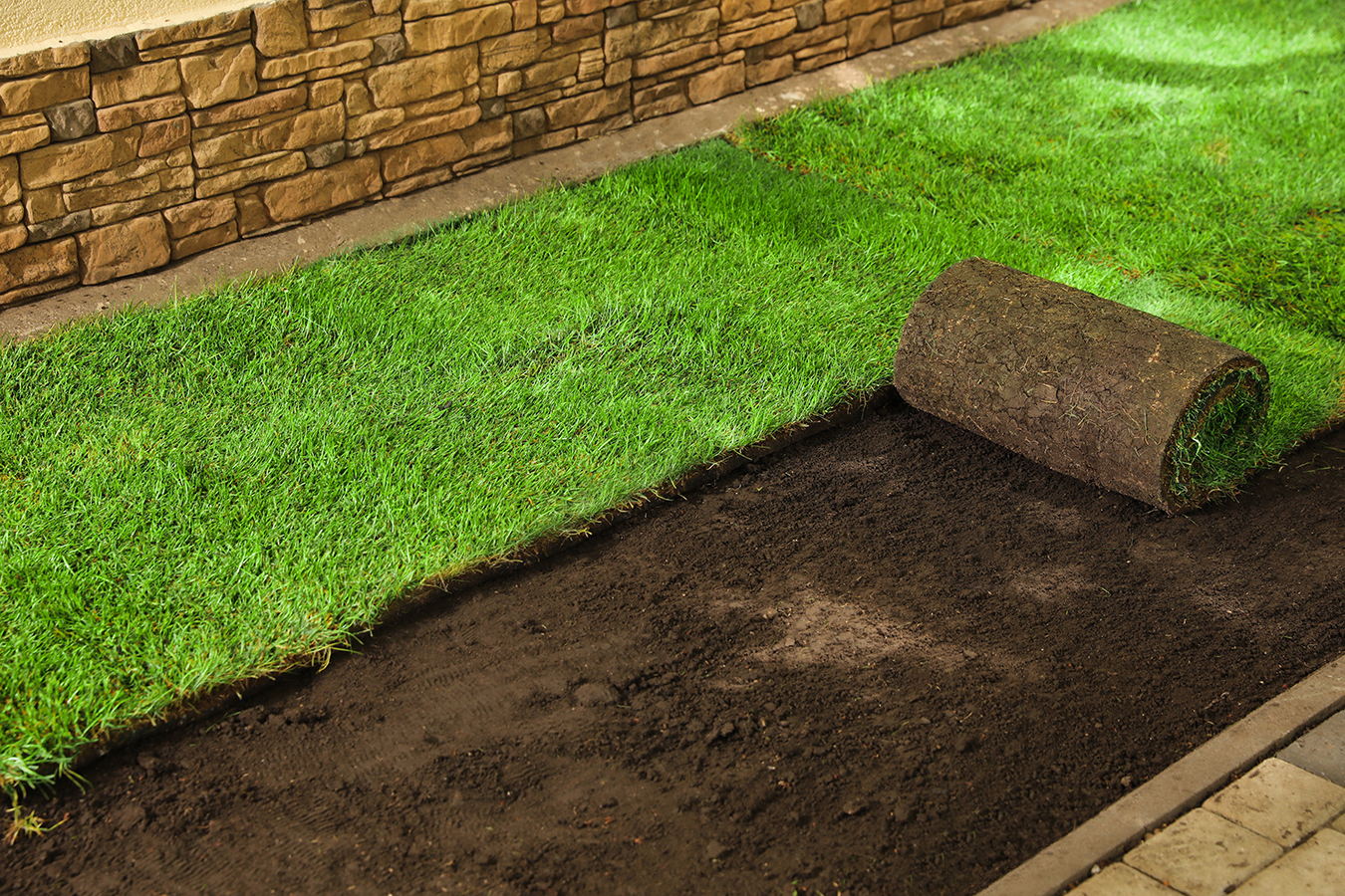 Sod Installation - Greenscapes - Southwest Florida