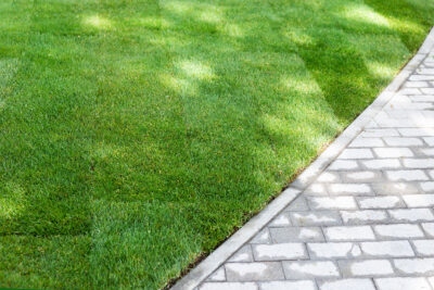Sod Installation - Greenscapes - Southwest Florida